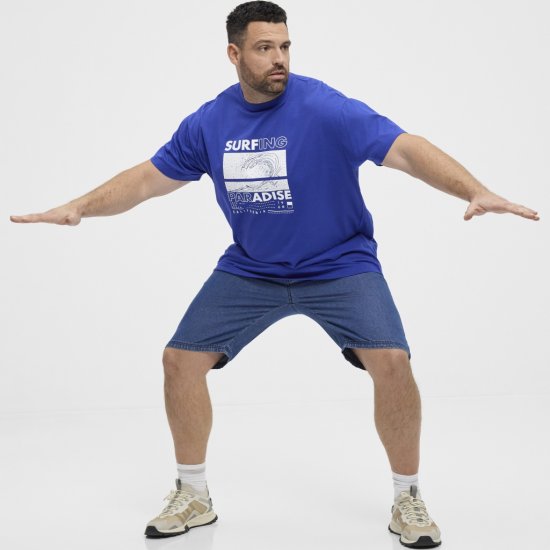 North Latitude T-Shirt Printed Blue - T-shirts - T-shirts i store størrelser - 2XL-14XL