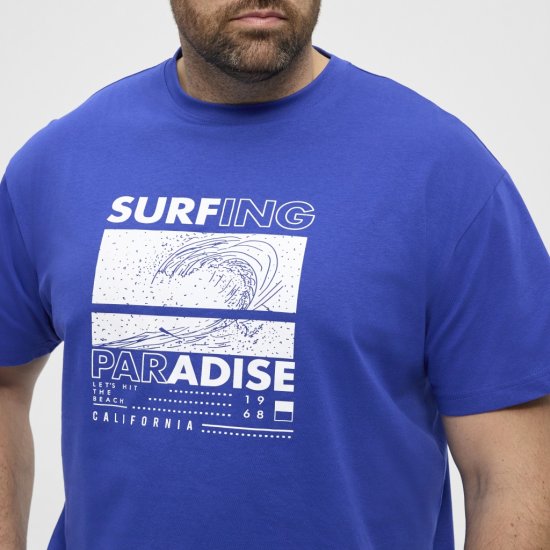 North Latitude T-Shirt Printed Blue - T-shirts - T-shirts i store størrelser - 2XL-14XL