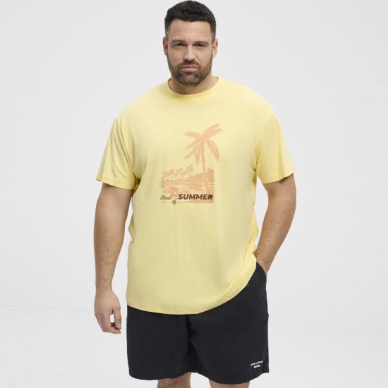 North Latitude T-Shirt Printed Yellow - T-shirts - T-shirts i store størrelser - 2XL-14XL