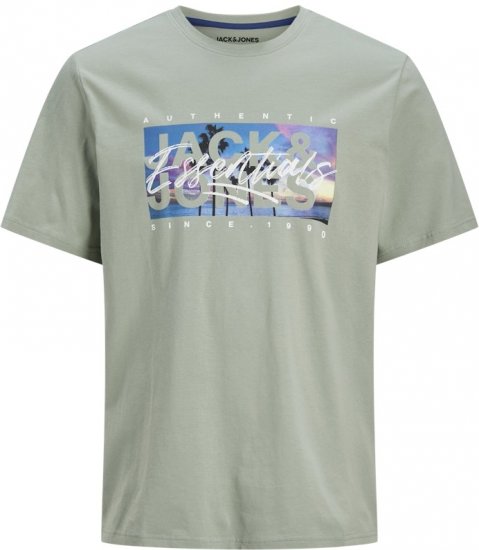 Jack & Jones Colton Photoprint Crew Neck T-Shirt Iceberg Green - T-shirts - T-shirts i store størrelser - 2XL-14XL